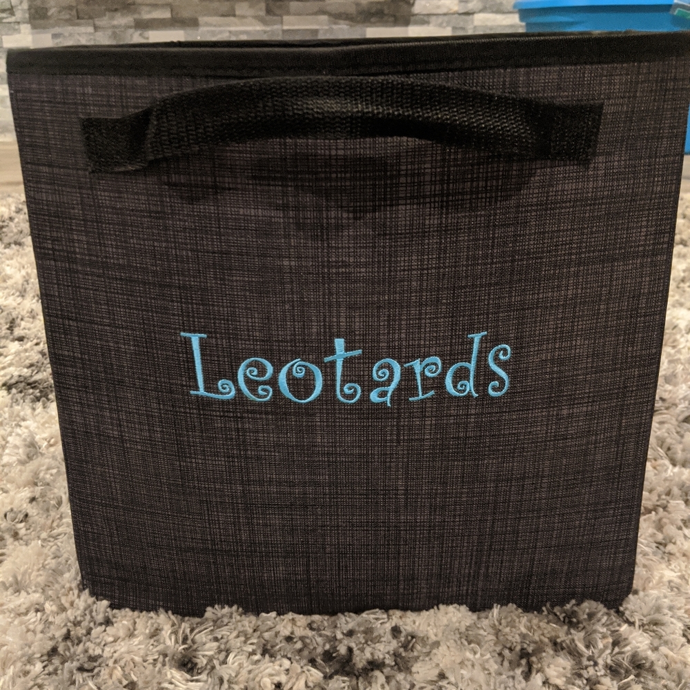 Thirty one leotard tote
